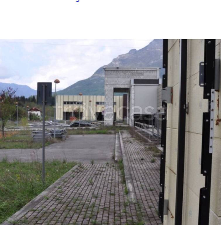 immagine annuncio 5 di 11