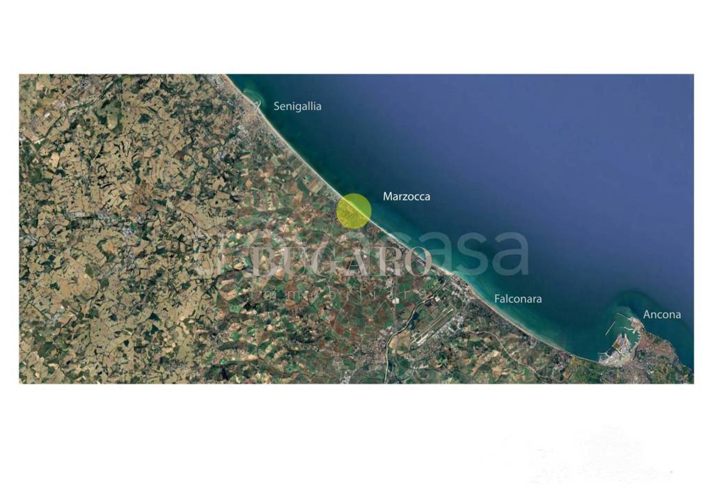 immagine annuncio 2 di 8