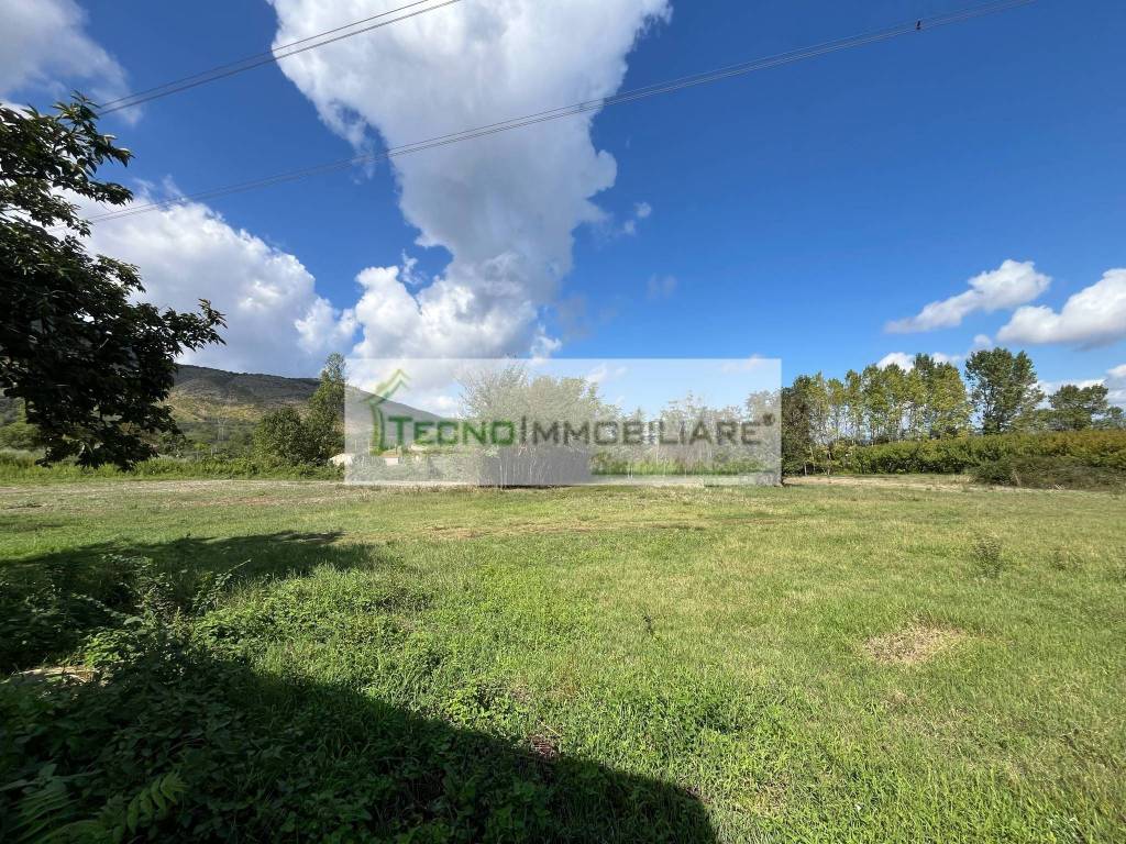 immagine annuncio 13 di 14