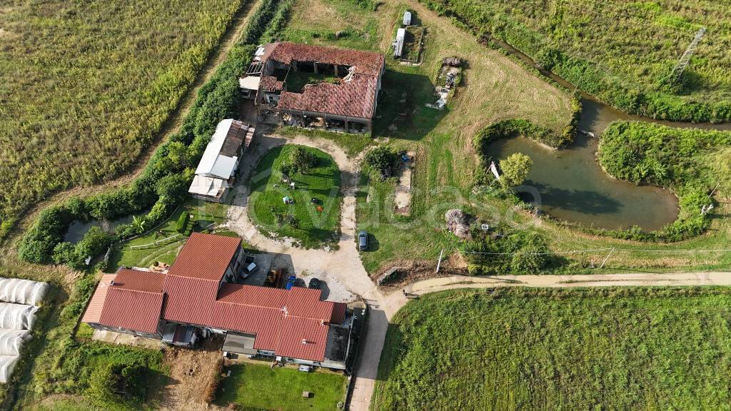 immagine annuncio 3 di 6