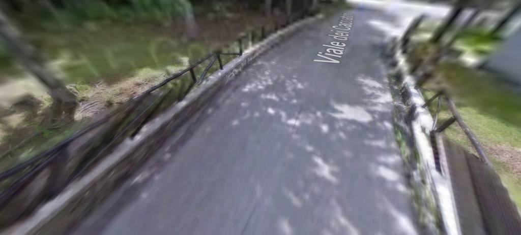 immagine annuncio 2 di 14