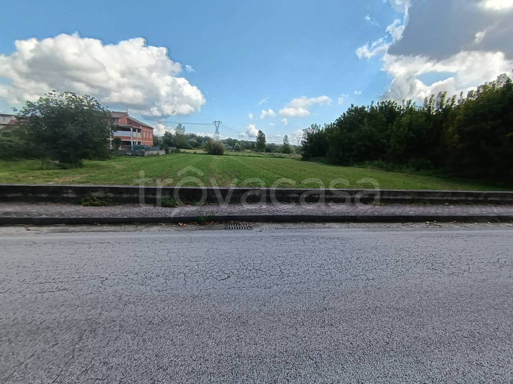 immagine annuncio 2 di 8