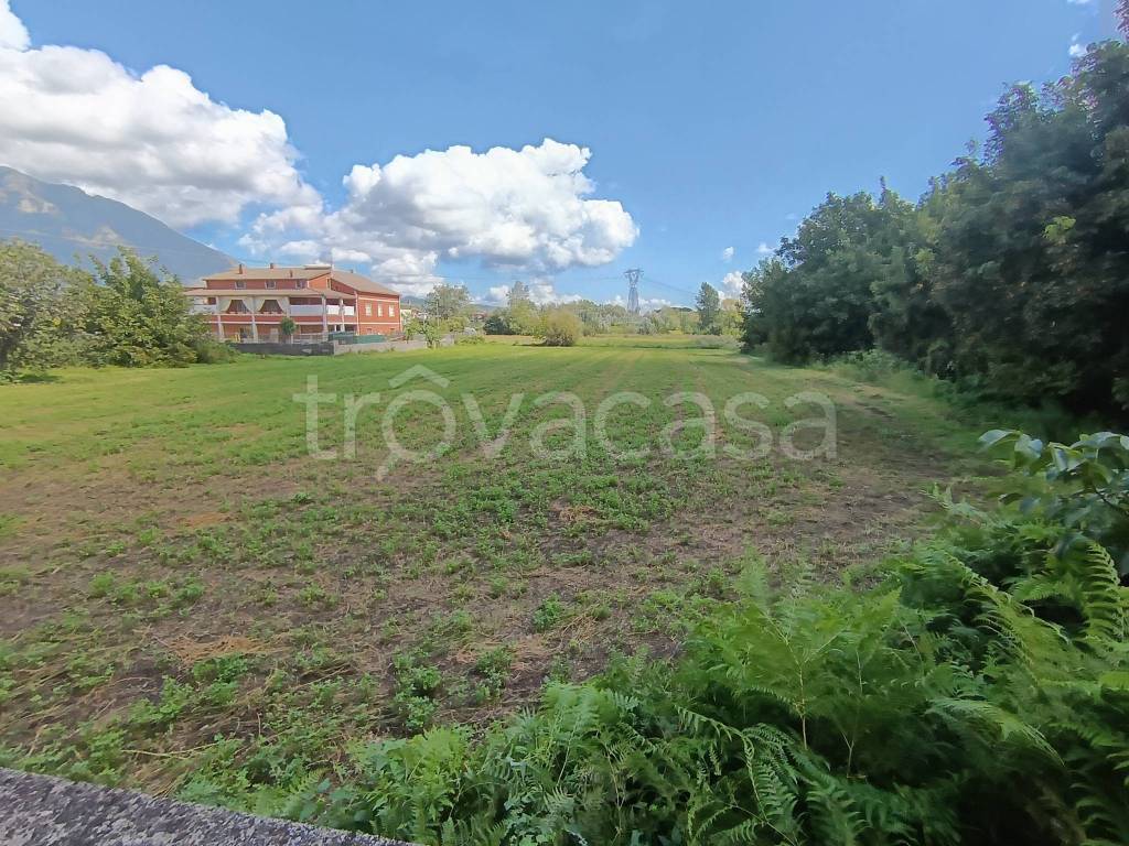 immagine annuncio 4 di 8