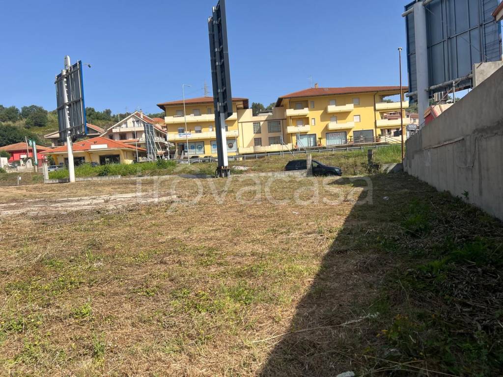 immagine annuncio 5 di 12