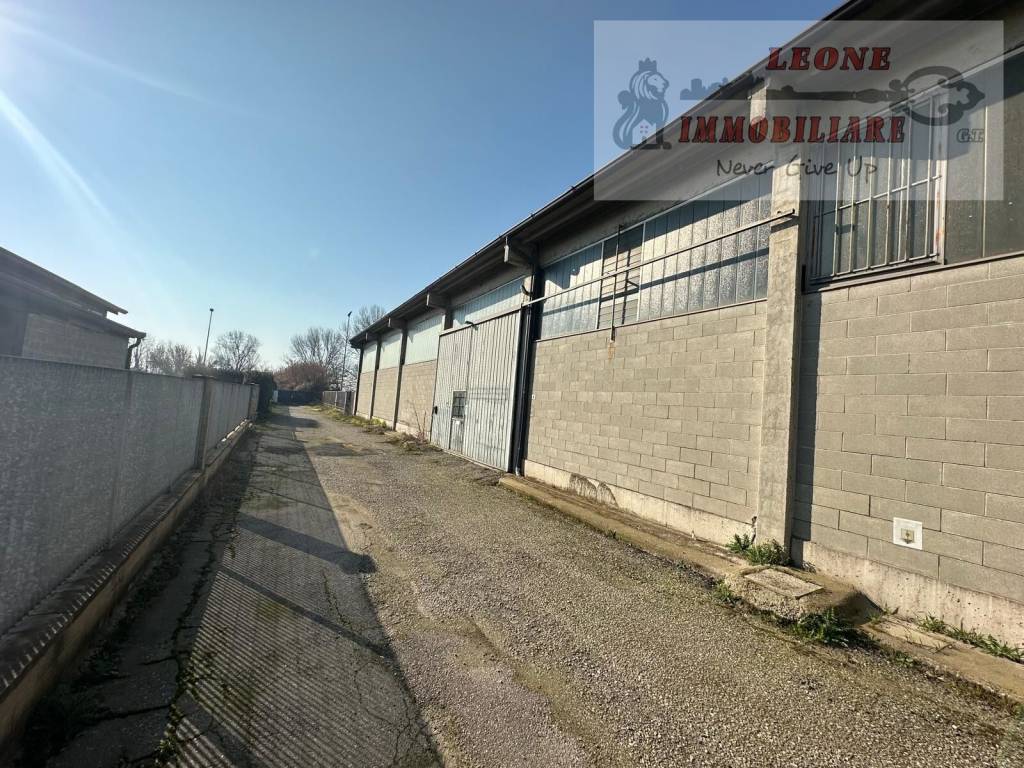 immagine annuncio 1 di 15