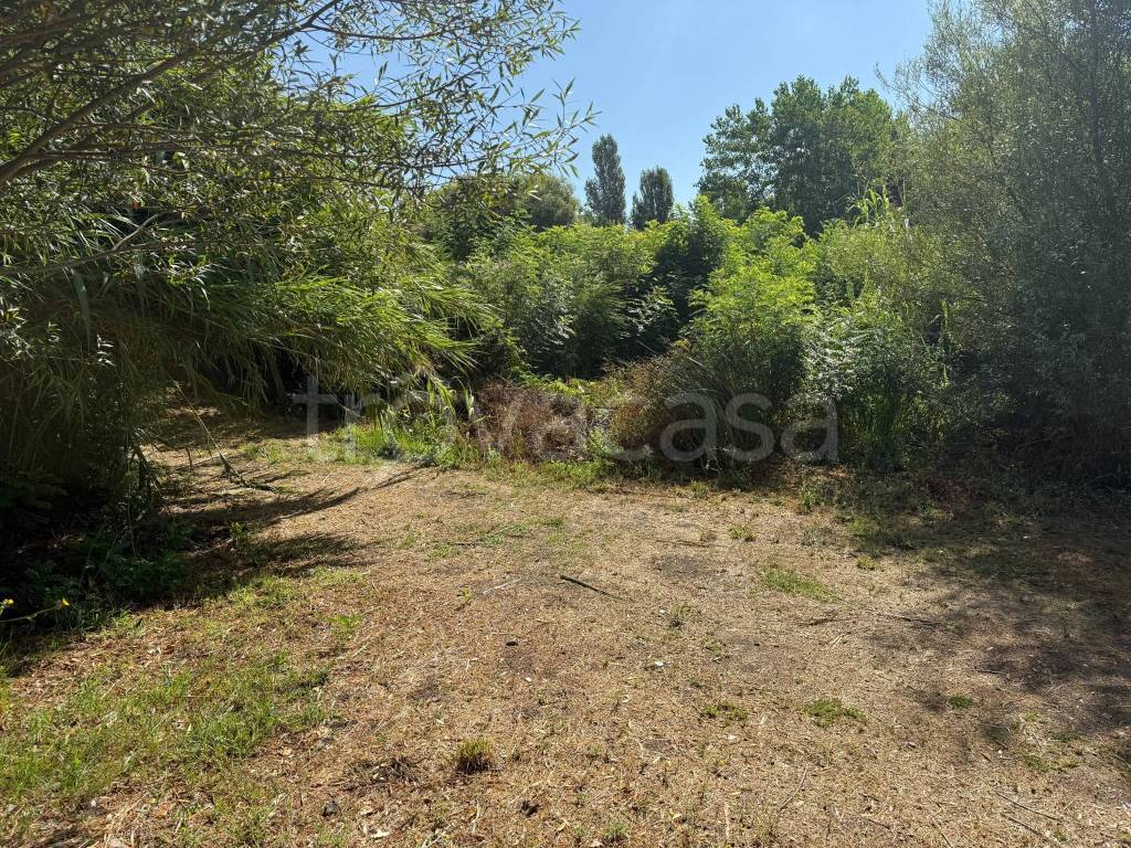 immagine annuncio 6 di 12