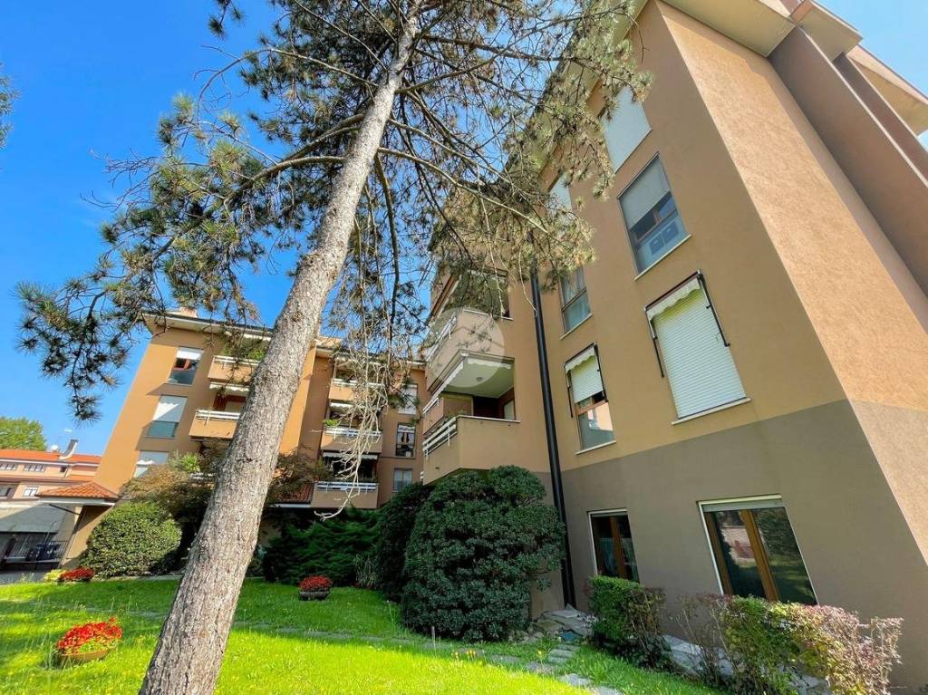 immagine annuncio 5 di 15