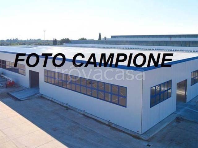 immagine annuncio 1 di 6