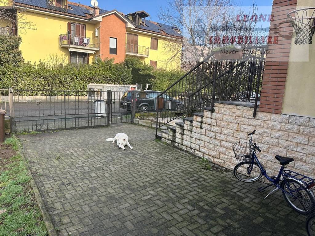 immagine annuncio 9 di 15