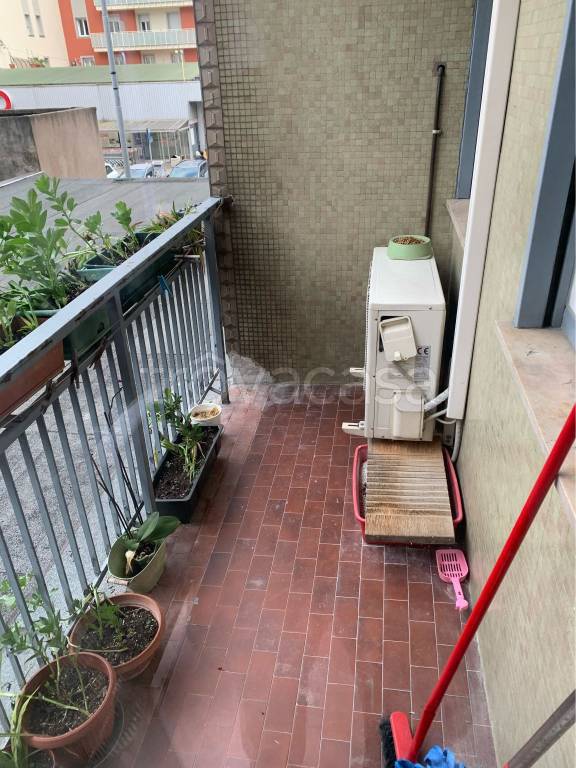immagine annuncio 7 di 8