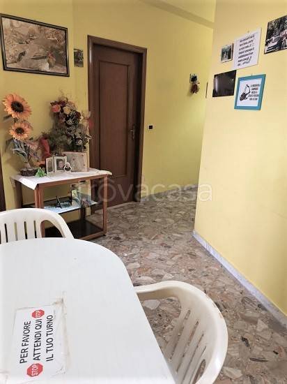 immagine annuncio 6 di 14