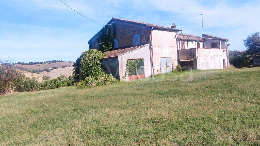 immagine annuncio 3 di 13