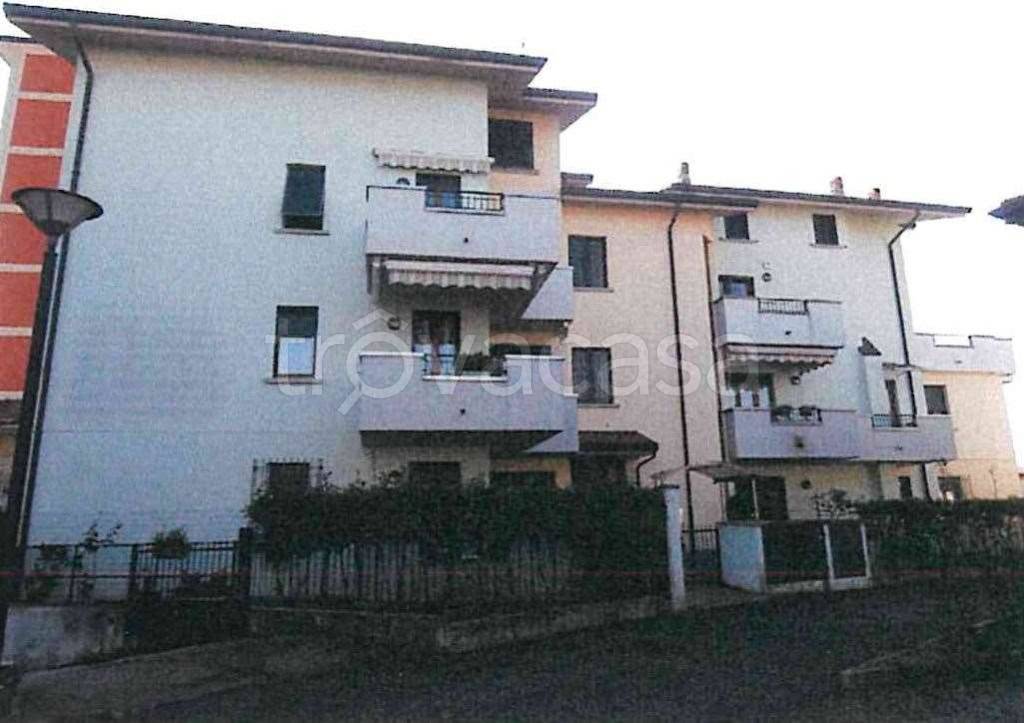 immagine annuncio 2 di 6