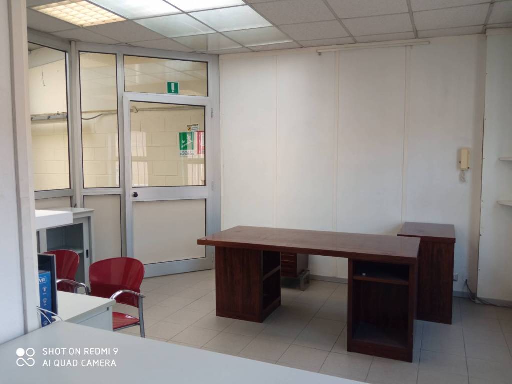 immagine annuncio 9 di 13