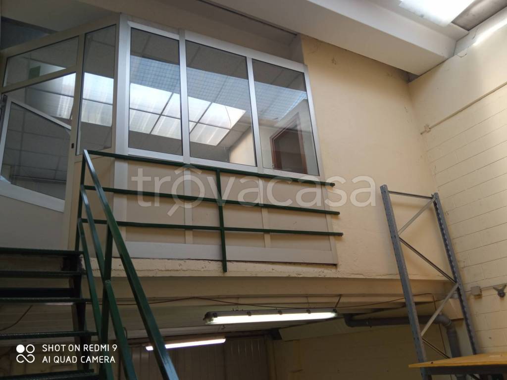 immagine annuncio 6 di 13
