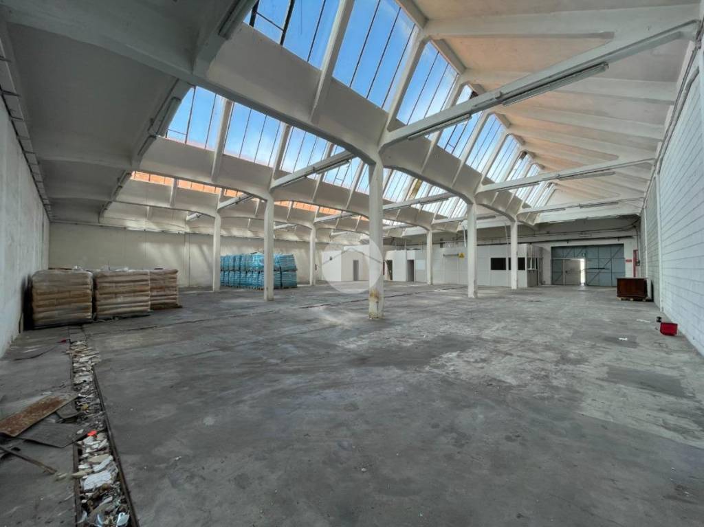 immagine annuncio 9 di 15