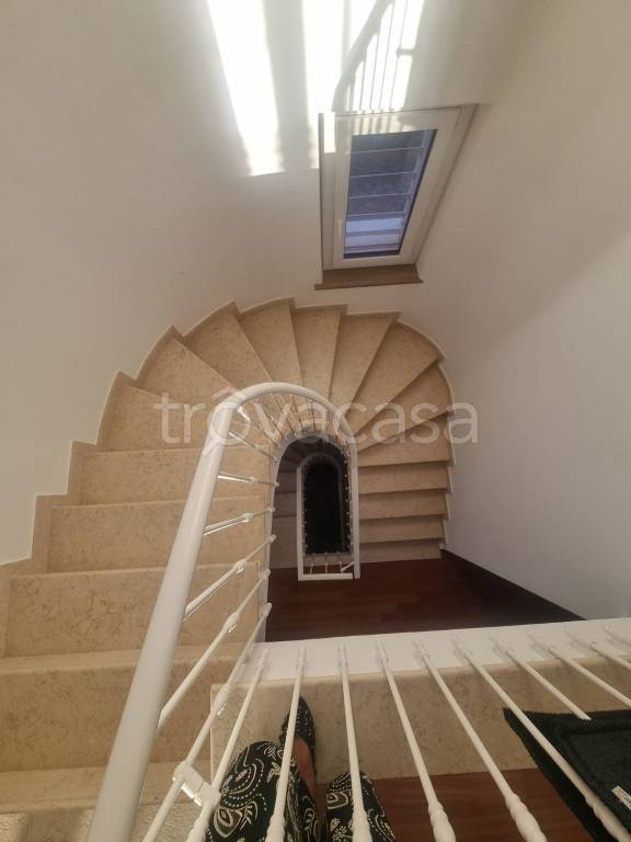 immagine annuncio 3 di 14
