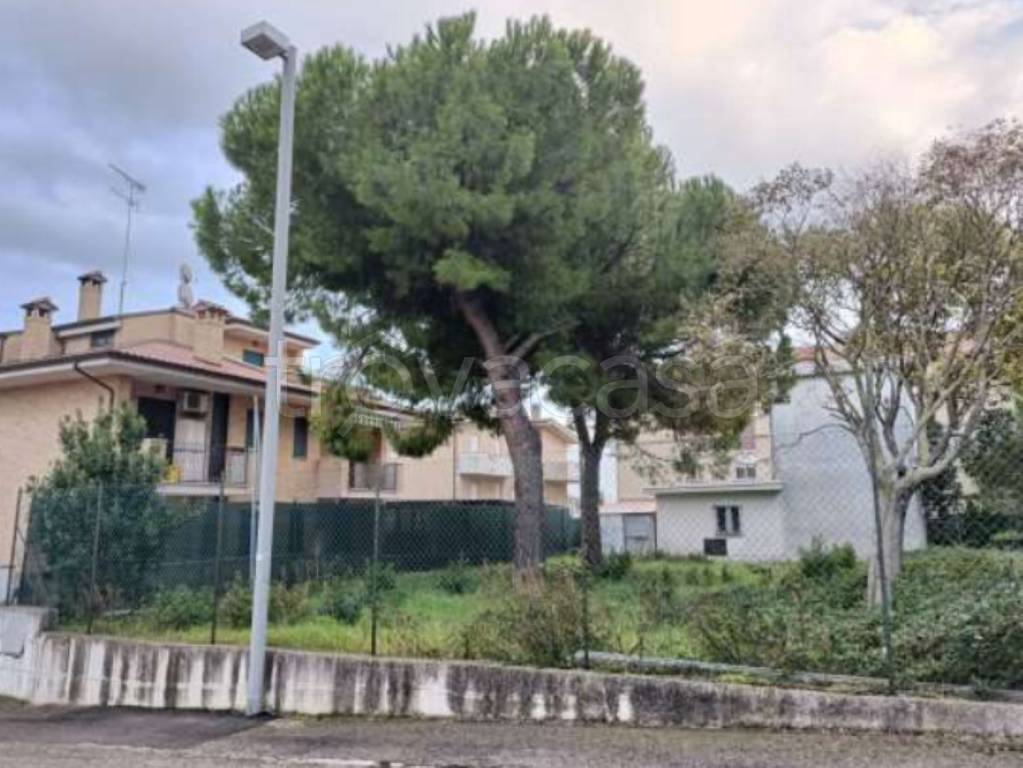 immagine annuncio 2 di 11