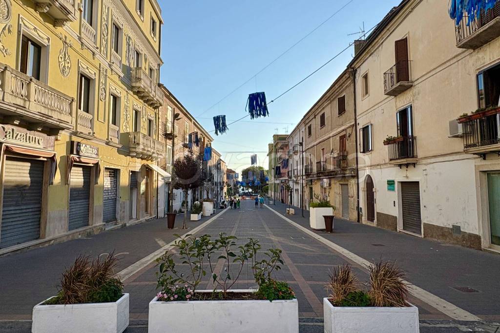 immagine annuncio 6 di 7