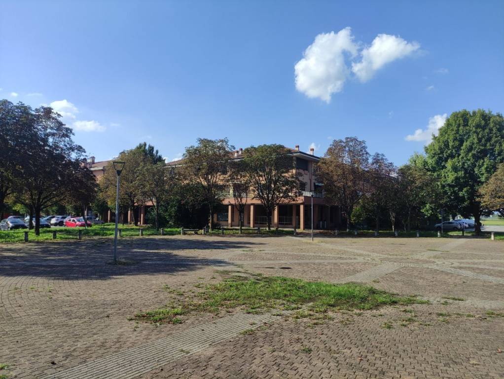immagine annuncio 5 di 8