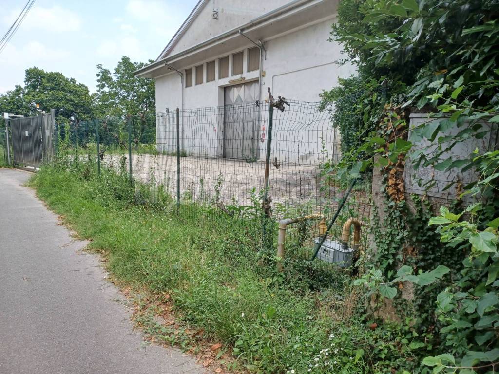 immagine annuncio 9 di 13
