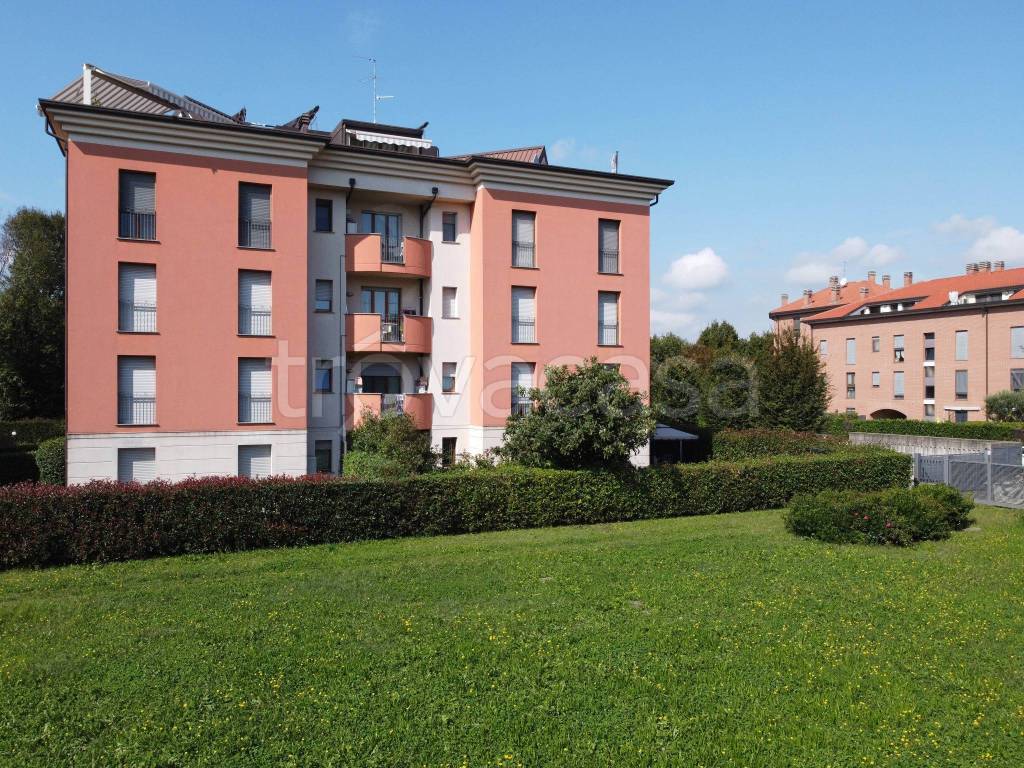 immagine annuncio 11 di 15