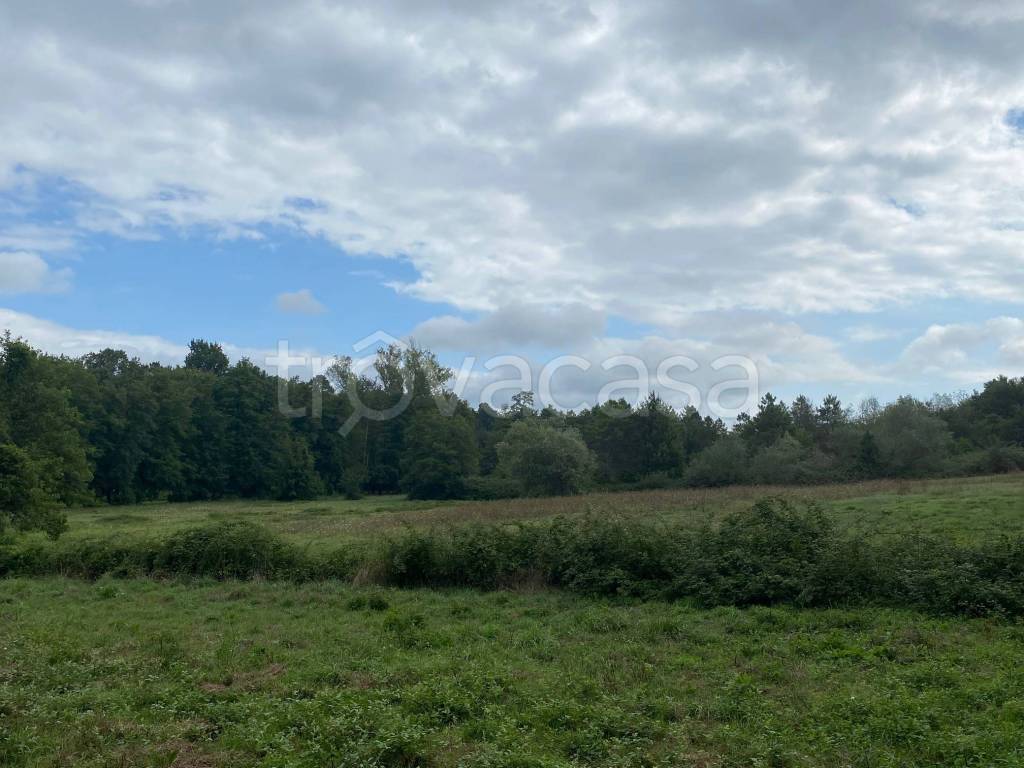 immagine annuncio 1 di 3