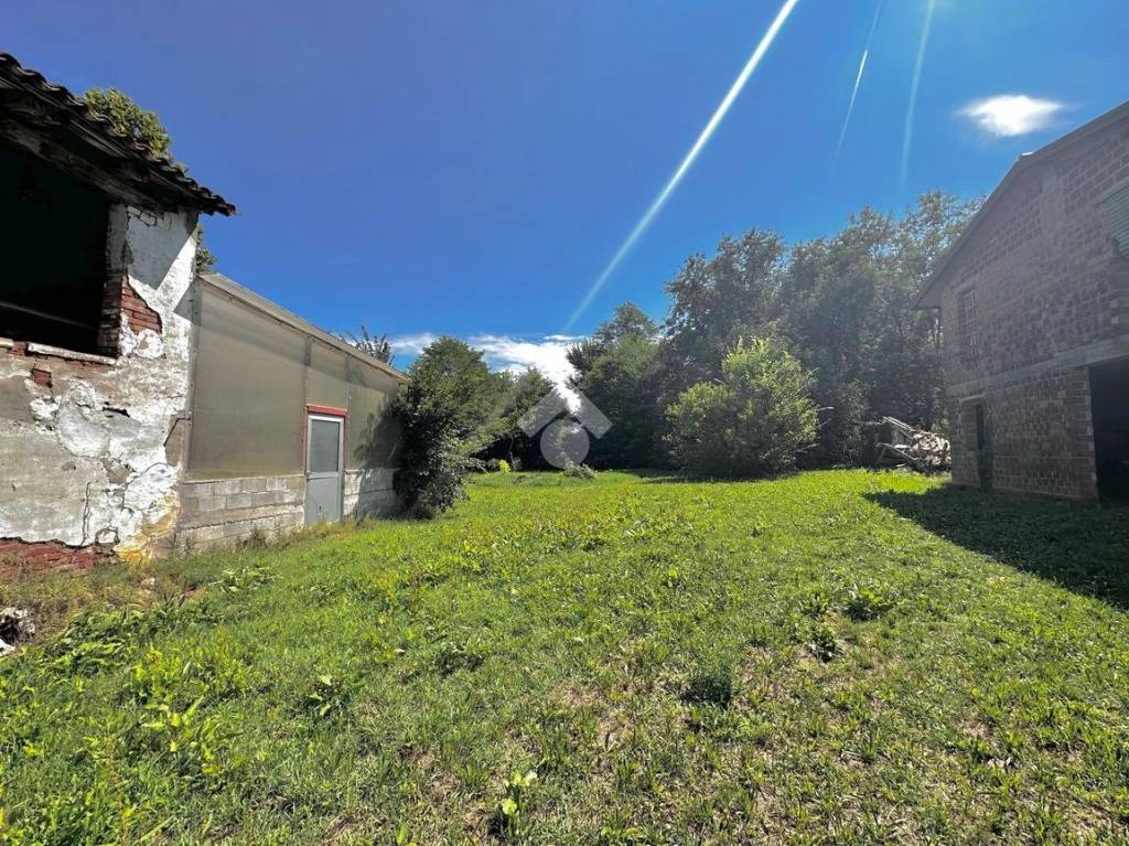 immagine annuncio 2 di 12