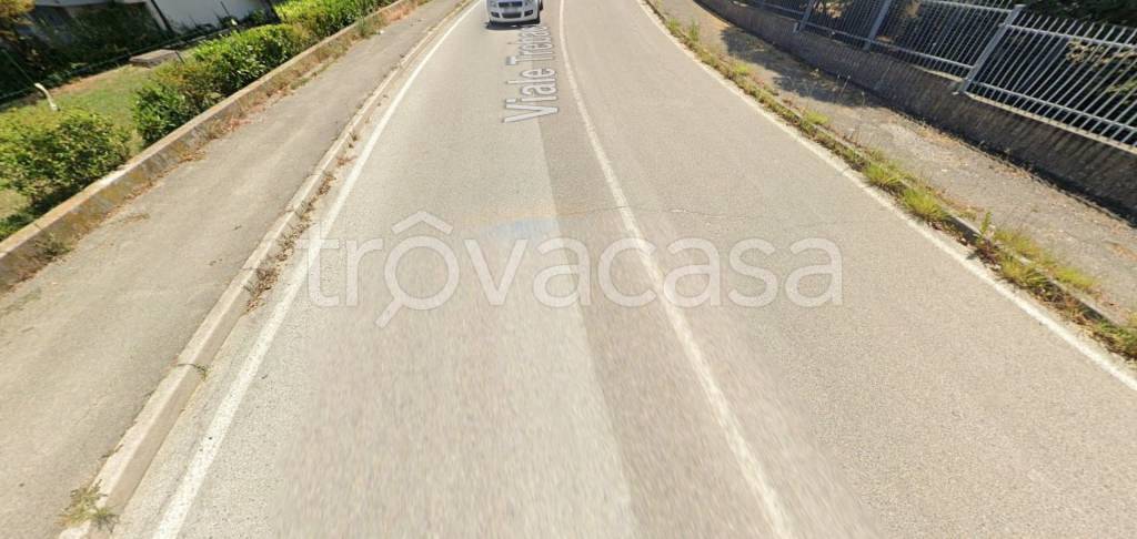 immagine annuncio 4 di 8