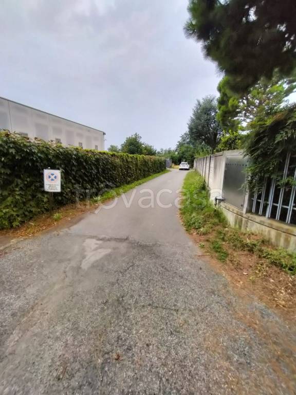 immagine annuncio 1 di 14