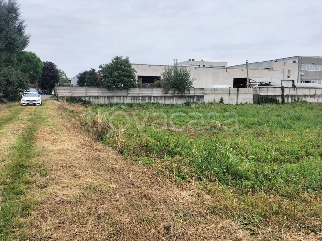 immagine annuncio 3 di 14