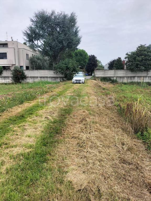 immagine annuncio 4 di 14