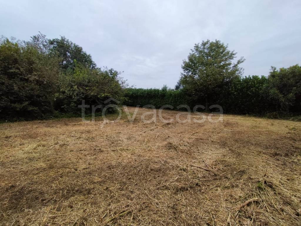 immagine annuncio 8 di 14