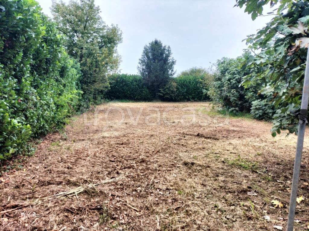 immagine annuncio 11 di 14