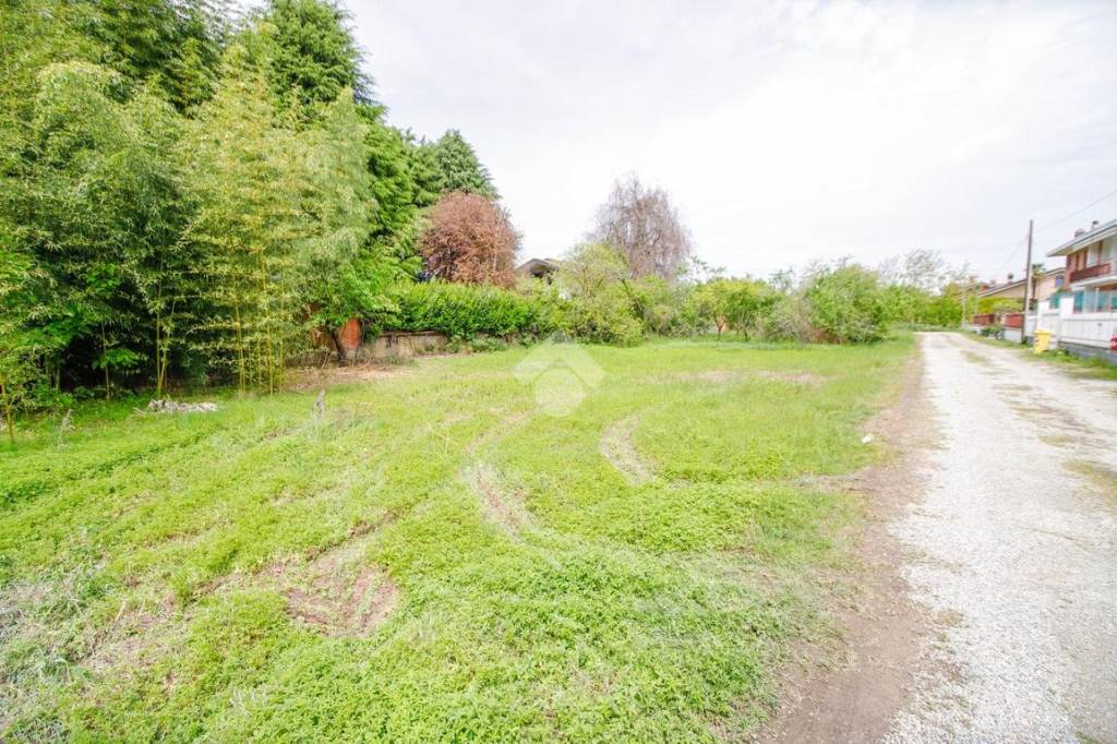 immagine annuncio 2 di 6