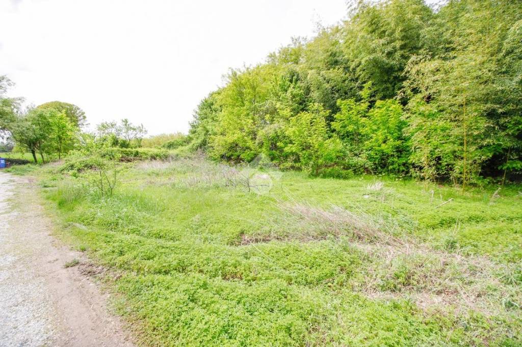 immagine annuncio 3 di 6