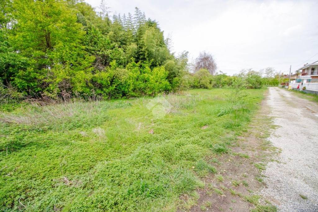 immagine annuncio 4 di 6