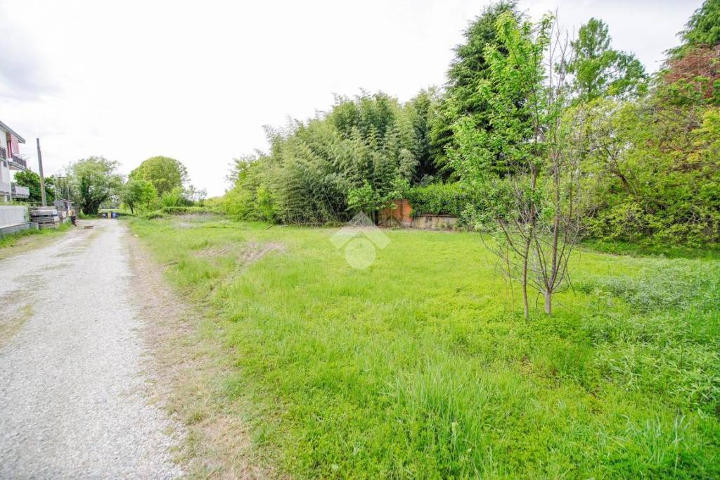 immagine annuncio 5 di 6