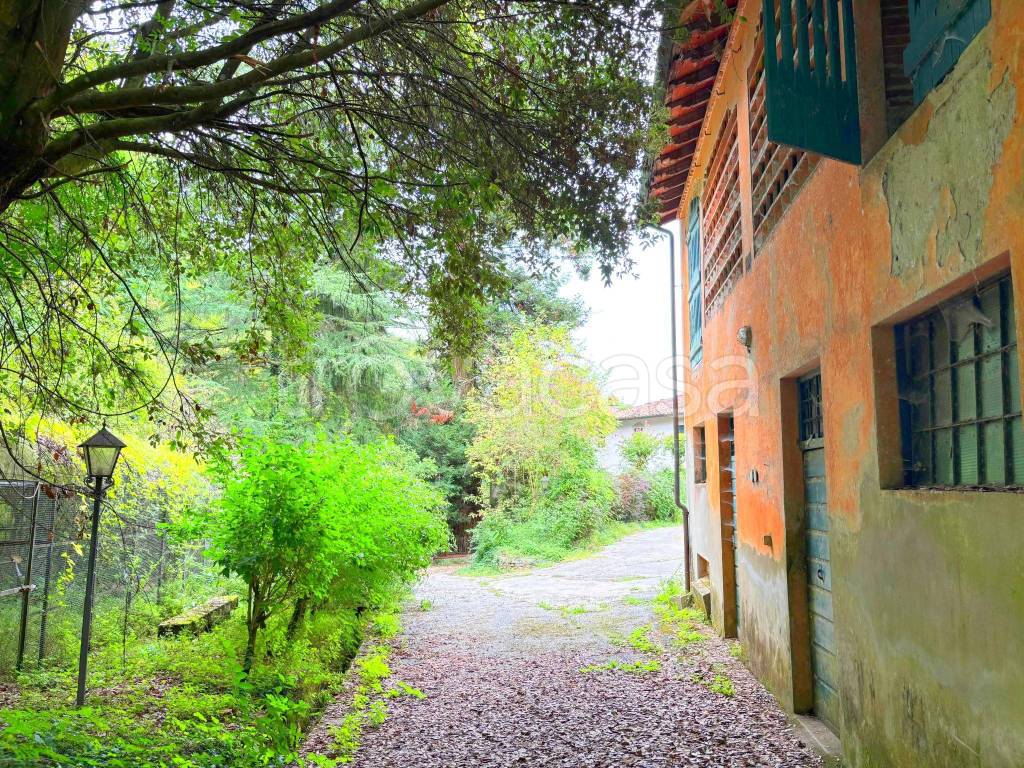 immagine annuncio 3 di 11