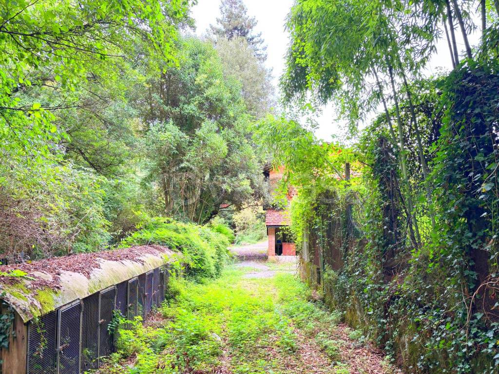 immagine annuncio 1 di 11