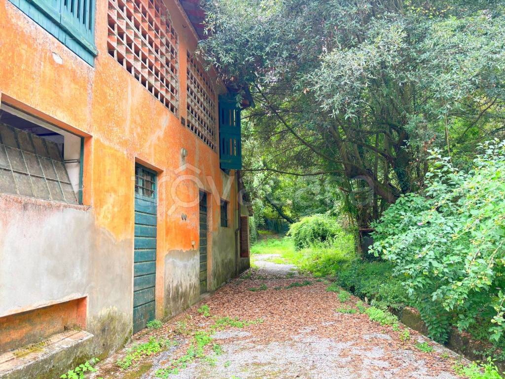 immagine annuncio 4 di 11