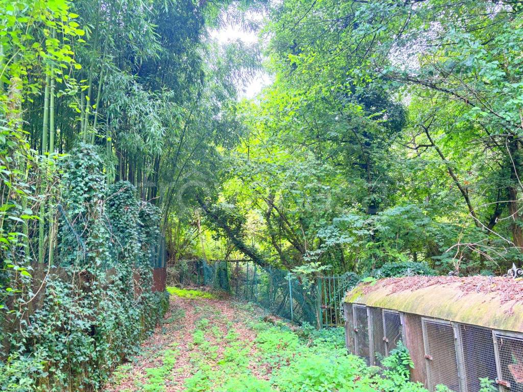 immagine annuncio 8 di 11