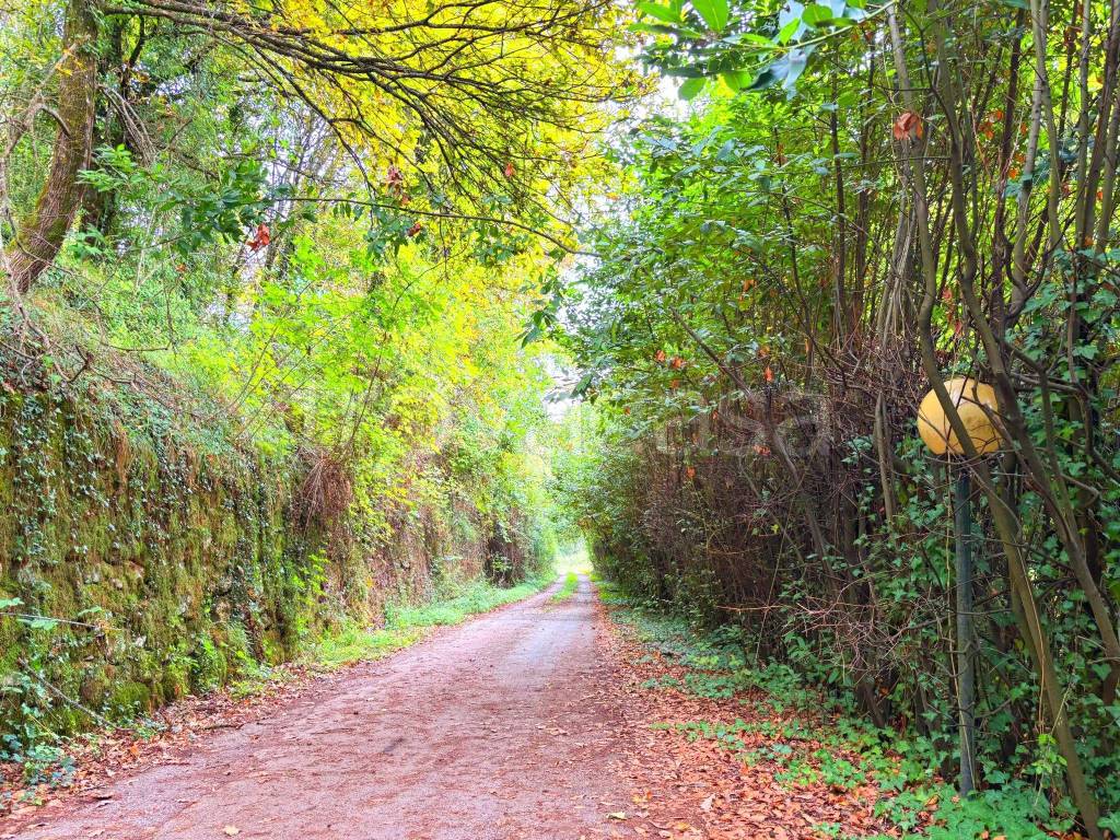 immagine annuncio 9 di 11