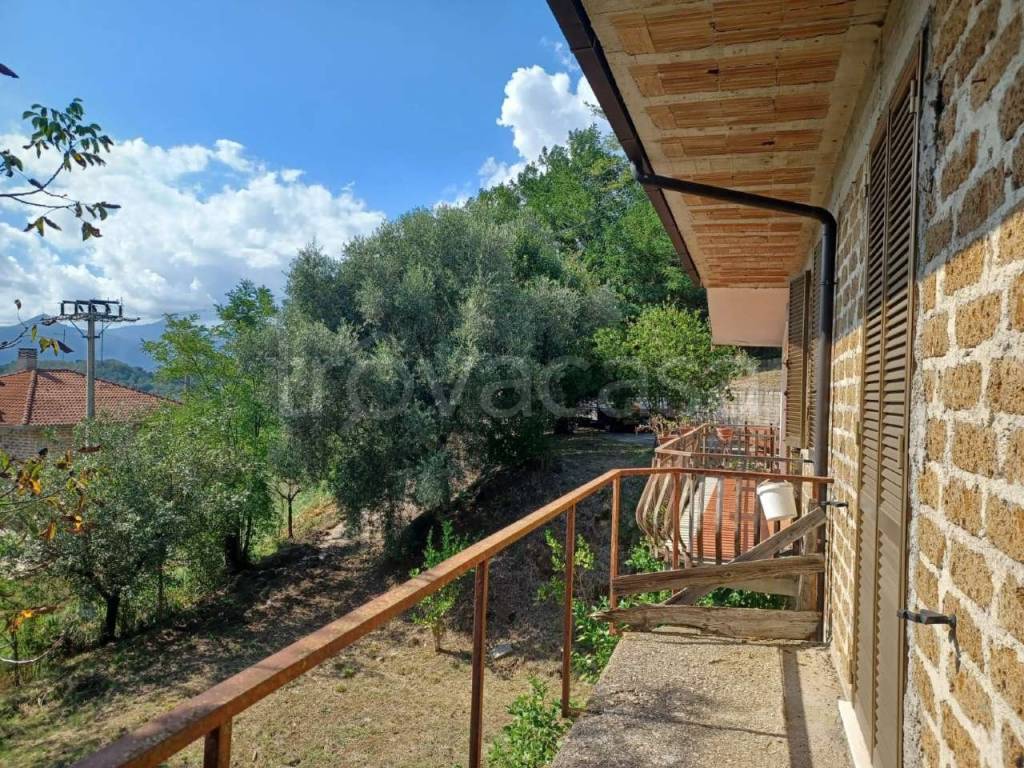 immagine annuncio 5 di 12