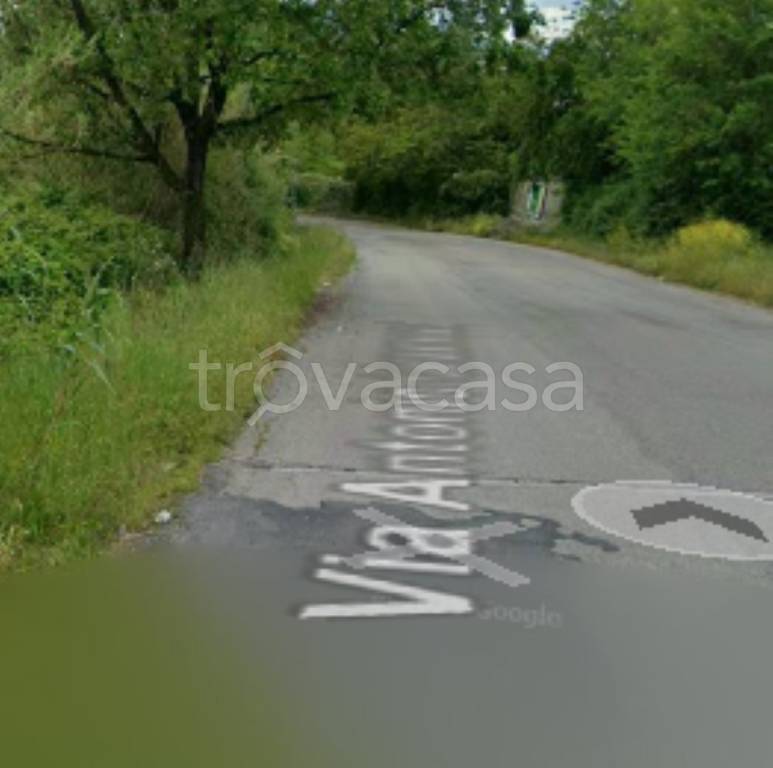 immagine annuncio 10 di 12