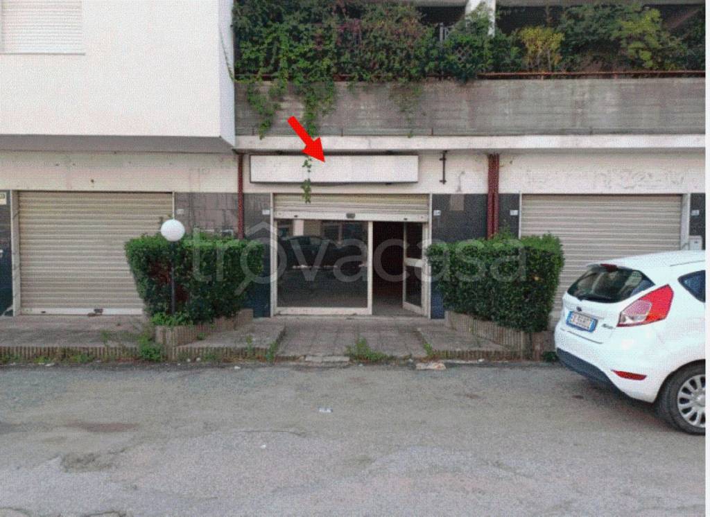 immagine annuncio 8 di 10