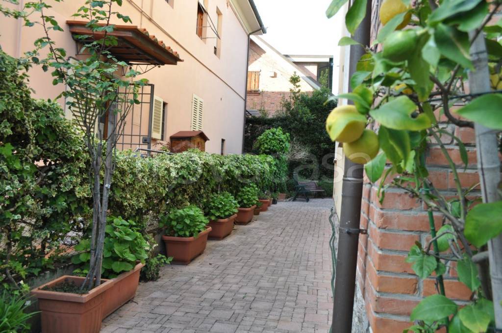 immagine annuncio 3 di 12