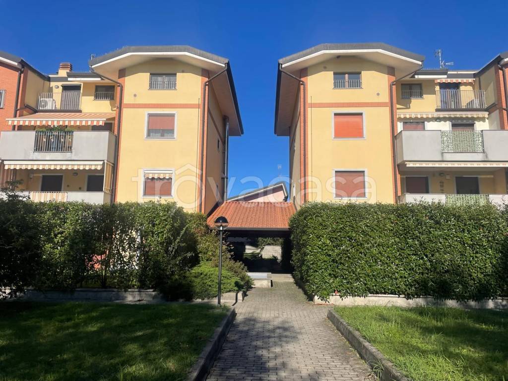 immagine annuncio 1 di 15