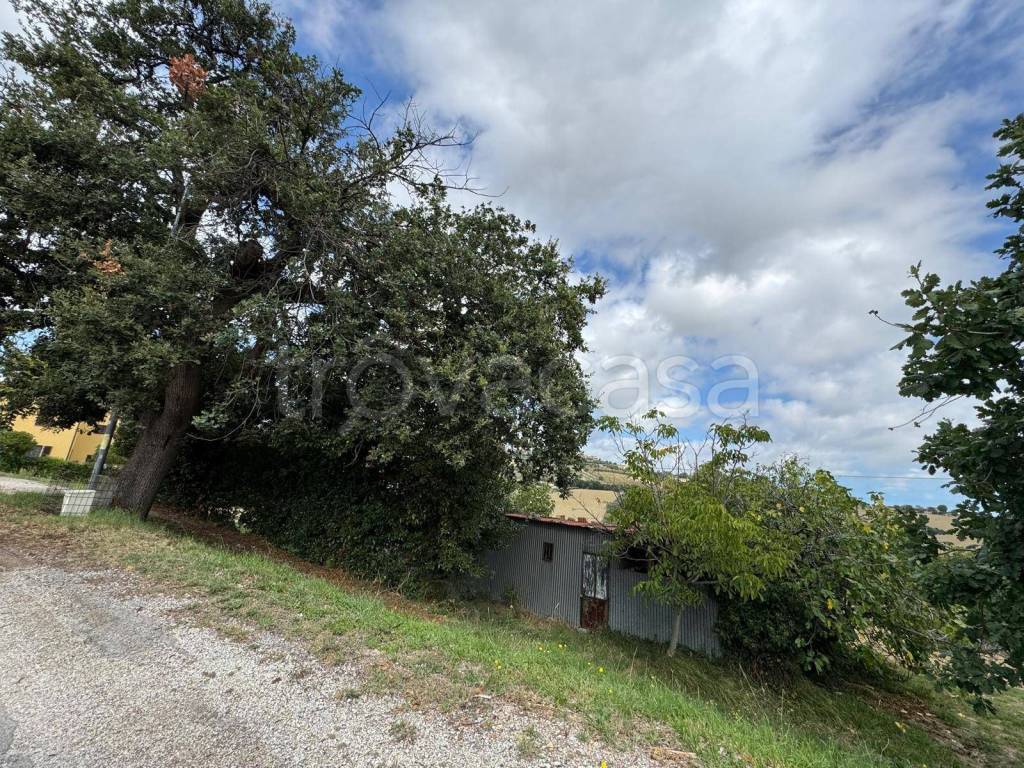 immagine annuncio 1 di 8