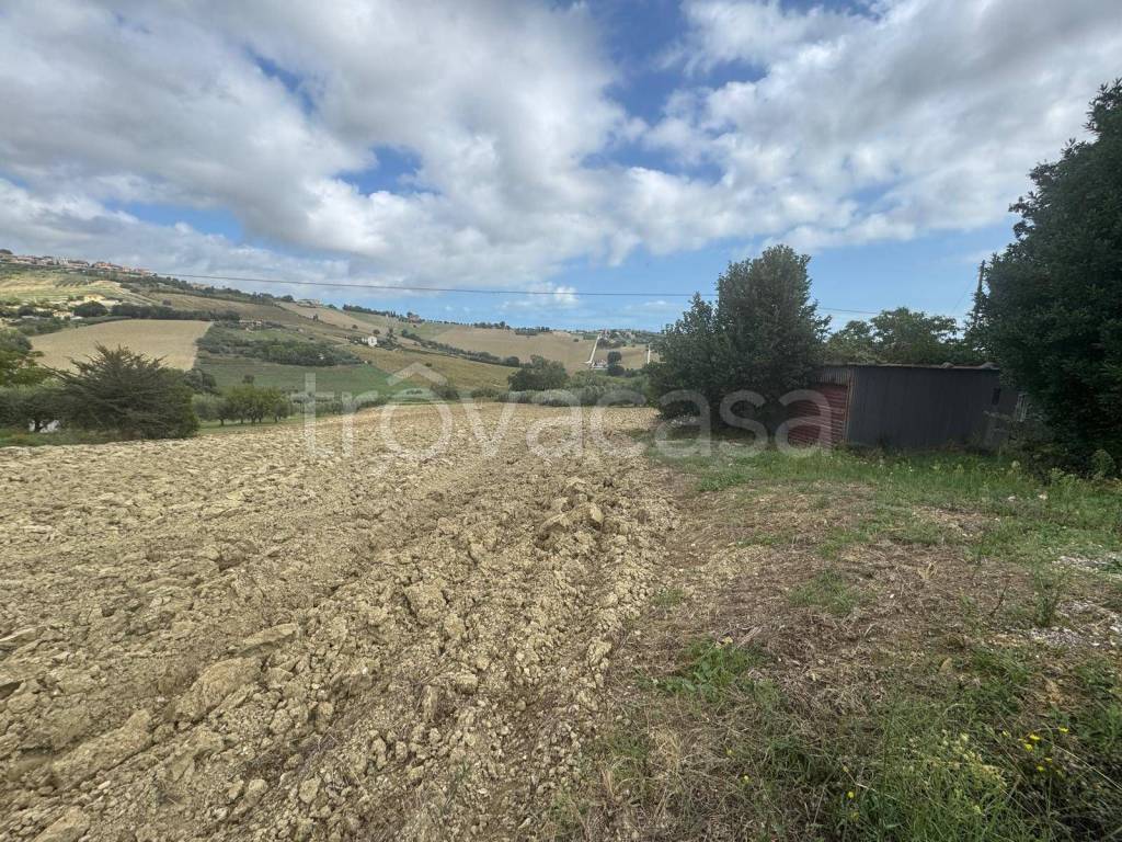 immagine annuncio 2 di 8